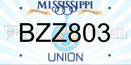 BZZ803 Mississippi License Plate