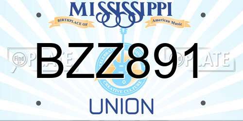 BZZ891 Mississippi License Plate