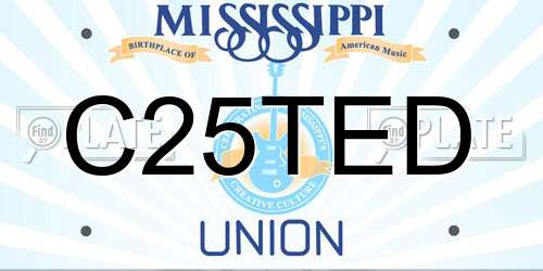 C25TED Mississippi License Plate