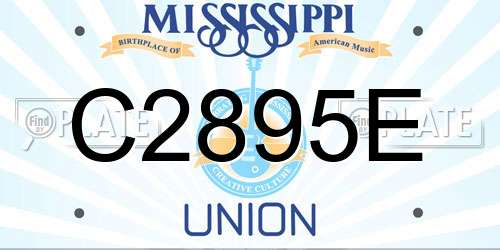 C2895E Mississippi License Plate