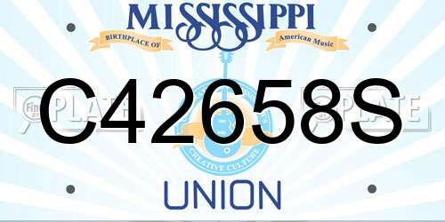 C42658S Mississippi License Plate