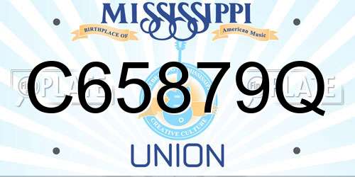 C65879Q Mississippi License Plate