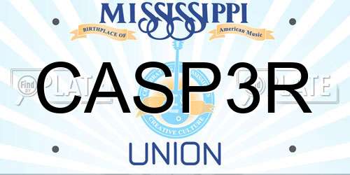 CASP3R Mississippi License Plate