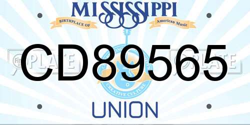 CD89565 Mississippi License Plate