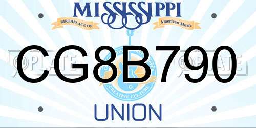 CG8B790 Mississippi License Plate