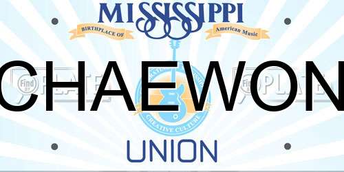 CHAEWON Mississippi License Plate