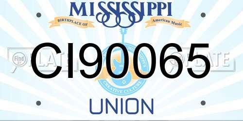 CI90065 Mississippi License Plate