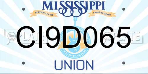 CI9D065 Mississippi License Plate