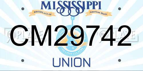 CM29742 Mississippi License Plate