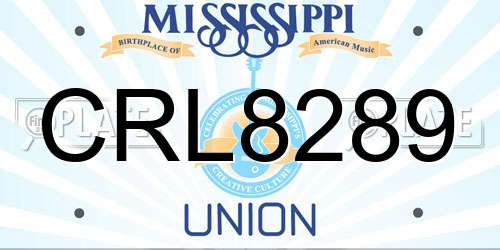 CRL8289 Mississippi License Plate