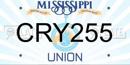 CRY255 Mississippi License Plate