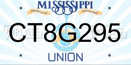 CT8G295 Mississippi License Plate
