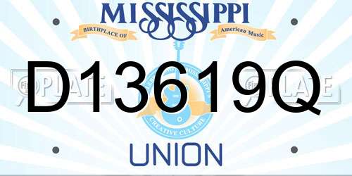D13619Q Mississippi License Plate