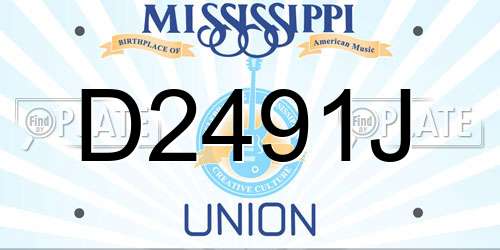 D2491J Mississippi License Plate