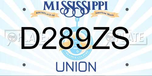D289ZS Mississippi License Plate
