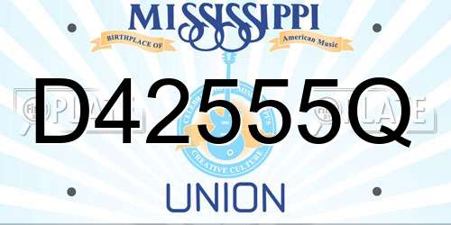 D42555Q Mississippi License Plate