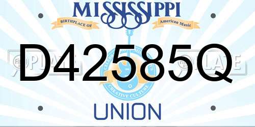 D42585Q Mississippi License Plate