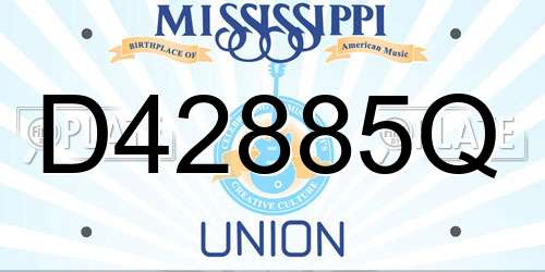 D42885Q Mississippi License Plate