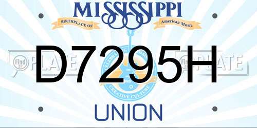 D7295H Mississippi License Plate
