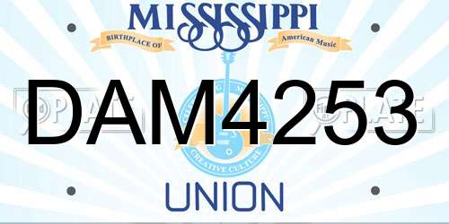 DAM4253 Mississippi License Plate
