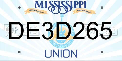 DE3D265 Mississippi License Plate