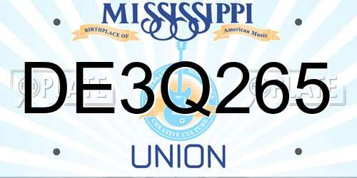 DE3Q265 Mississippi License Plate