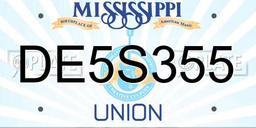 DE5S355 Mississippi License Plate