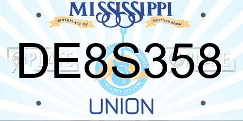 DE8S358 Mississippi License Plate
