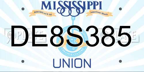 DE8S385 Mississippi License Plate