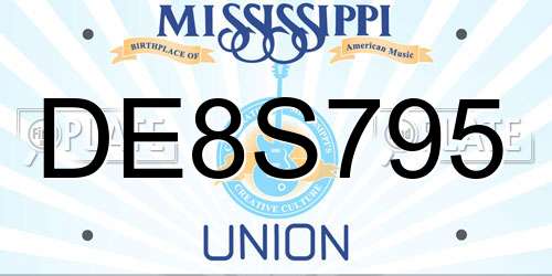 DE8S795 Mississippi License Plate