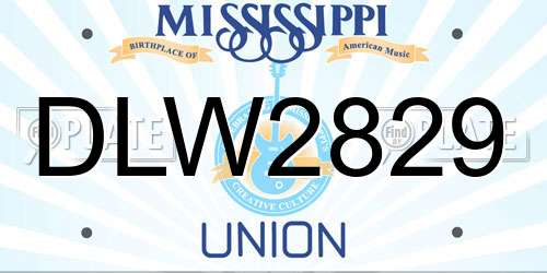 DLW2829 Mississippi License Plate