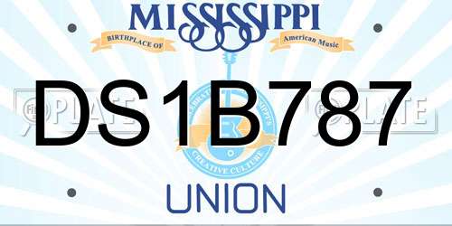 DS1B787 Mississippi License Plate