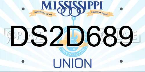 DS2D689 Mississippi License Plate