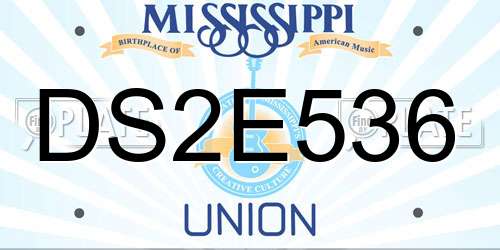DS2E536 Mississippi License Plate