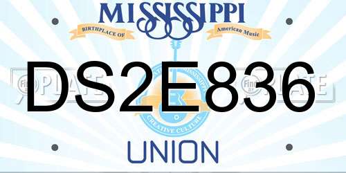 DS2E836 Mississippi License Plate