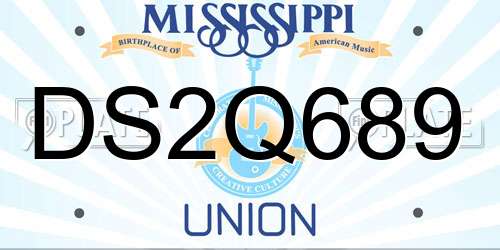 DS2Q689 Mississippi License Plate