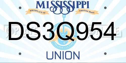 DS3Q954 Mississippi License Plate
