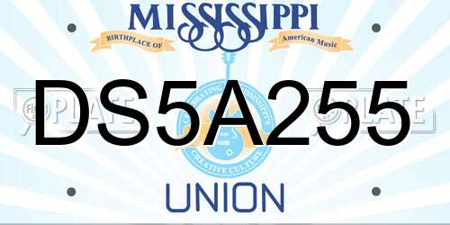 DS5A255 Mississippi License Plate