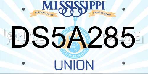 DS5A285 Mississippi License Plate