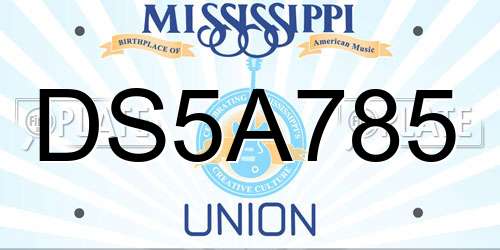 DS5A785 Mississippi License Plate