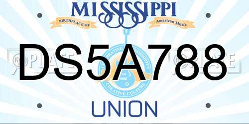 DS5A788 Mississippi License Plate