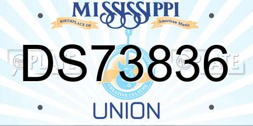 DS73836 Mississippi License Plate