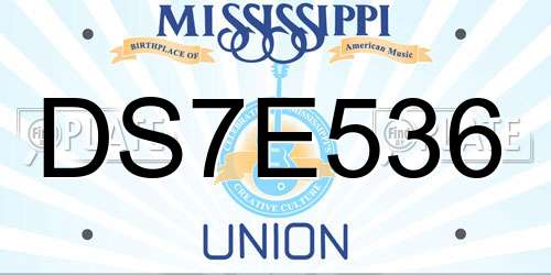 DS7E536 Mississippi License Plate