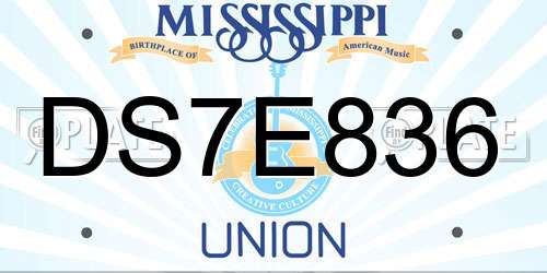 DS7E836 Mississippi License Plate