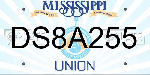DS8A255 Mississippi License Plate