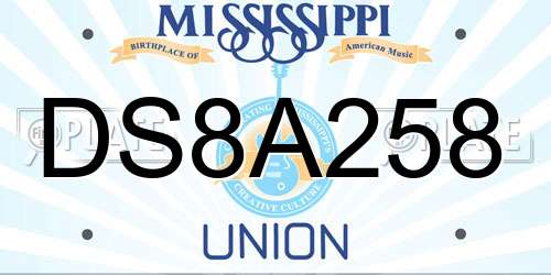 DS8A258 Mississippi License Plate