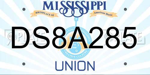 DS8A285 Mississippi License Plate