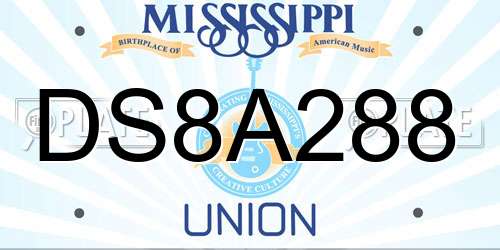 DS8A288 Mississippi License Plate