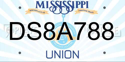 DS8A788 Mississippi License Plate