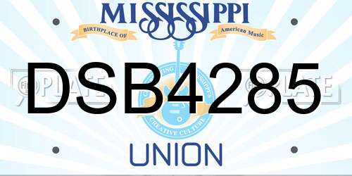 DSB4285 Mississippi License Plate